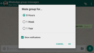 Illustration for article titled 10 Tricks to Make Yourself a WhatsApp Master